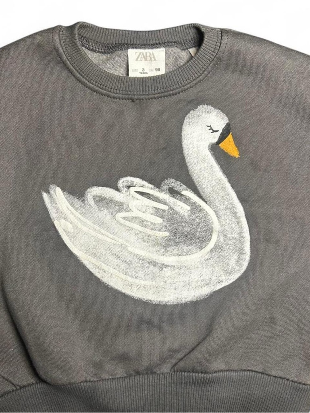 Zara kids Dance Crewneck